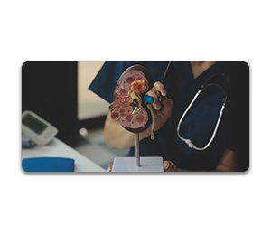 Kidney & Nephrology Institute - main cover
